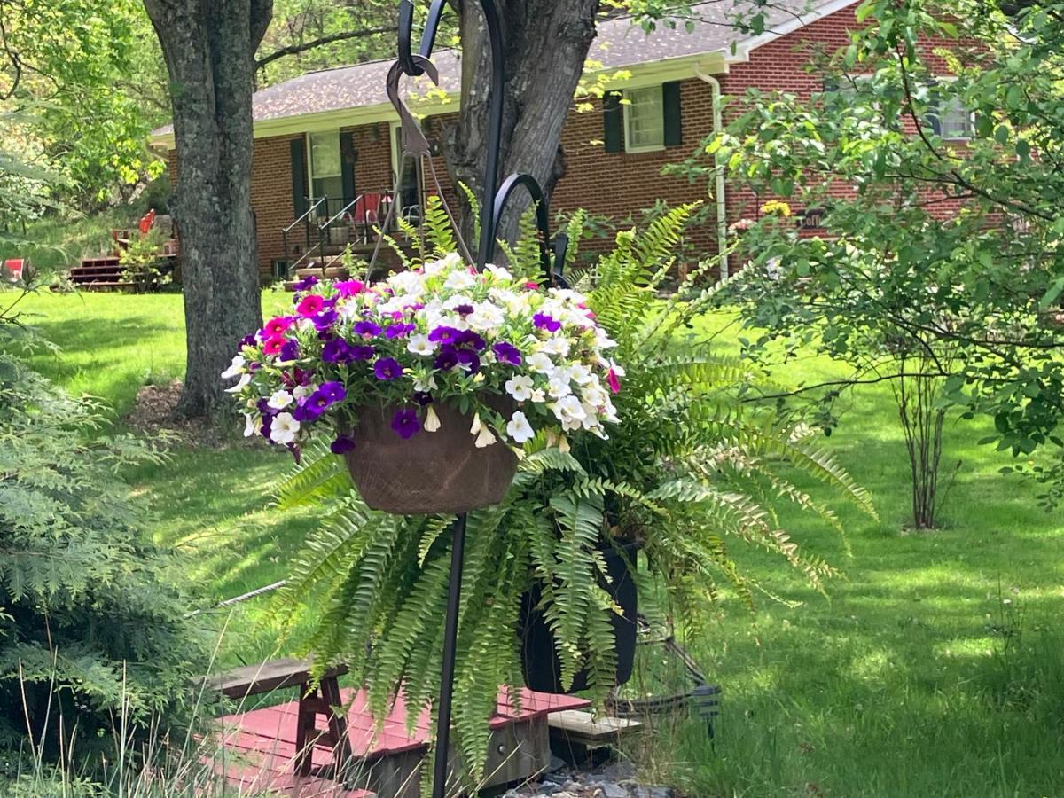 The Ashe Farm Bed & Breakfast Marshall Exterior photo